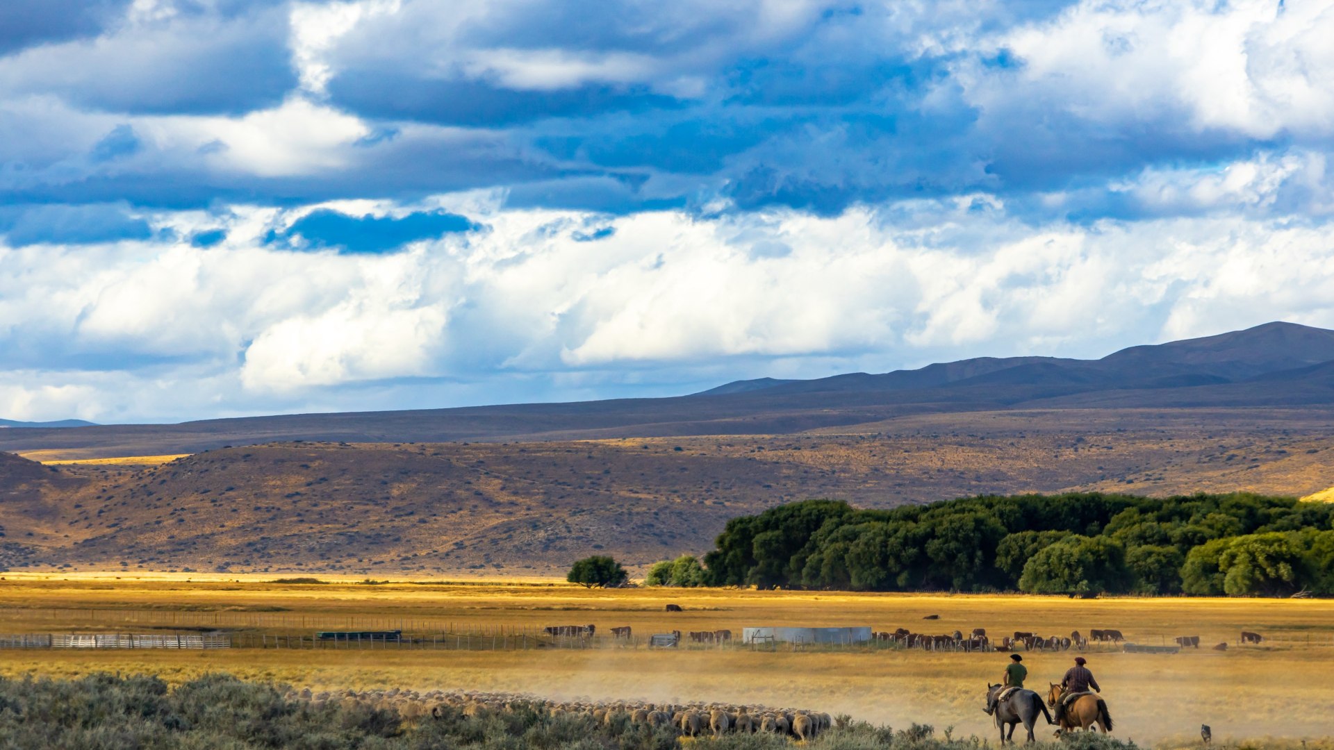 Trekkingabenteuer im Land der Extreme